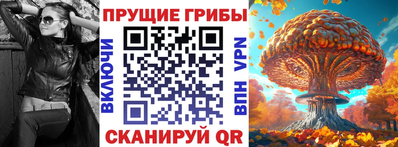Псилоцибиновые грибы Psilocybine cubensis Сегежа