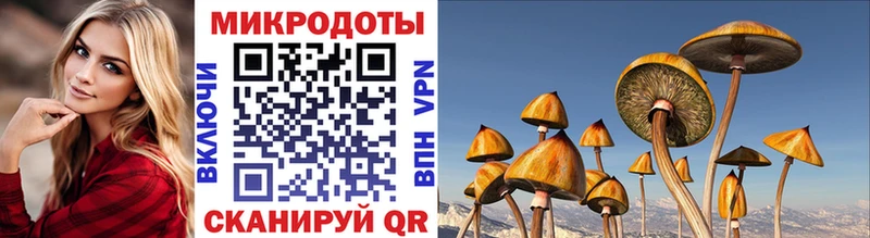 Галлюциногенные грибы мухоморы  Купить закладки  Сегежа 