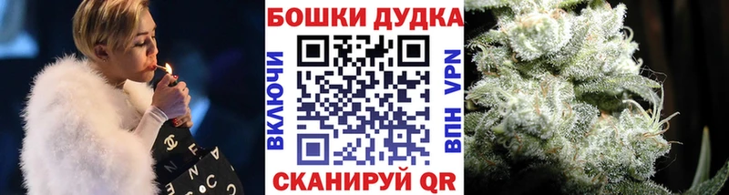 Купить  Сегежа  Бошки Шишки OG Kush 